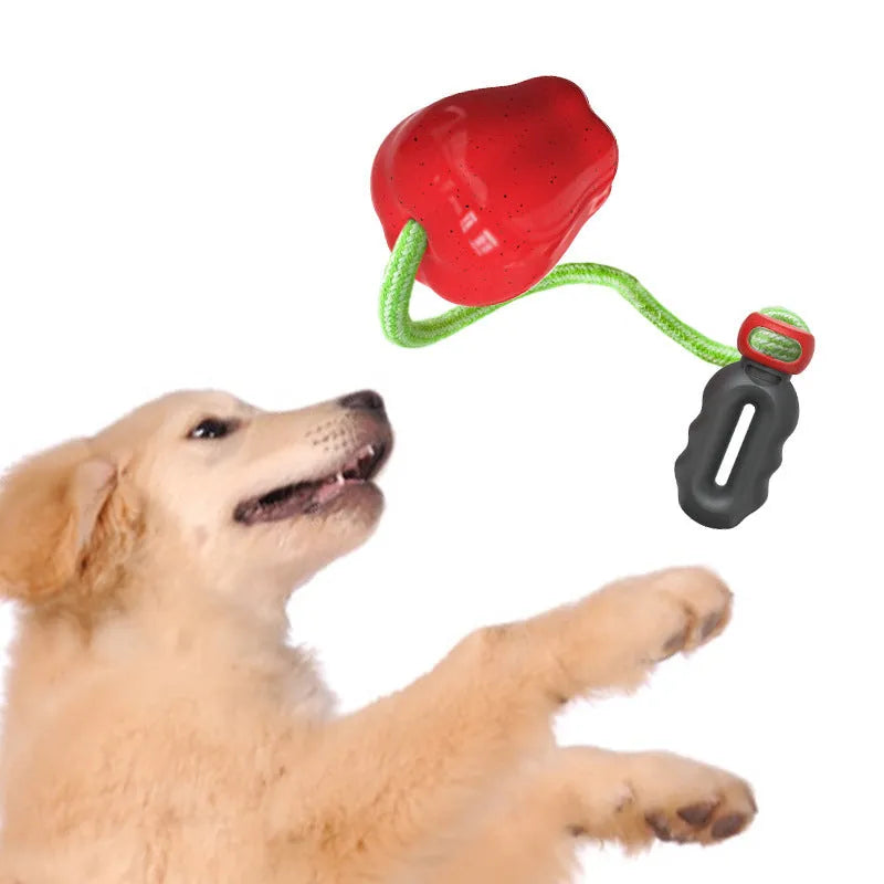 Green plastic dog molar ball toy with food dropping design for outdoor fetch and enrichment