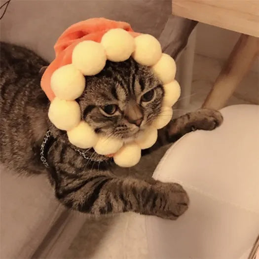 Cute pet headgear sunflower cat headdress wig hat with embroidery cloth free size