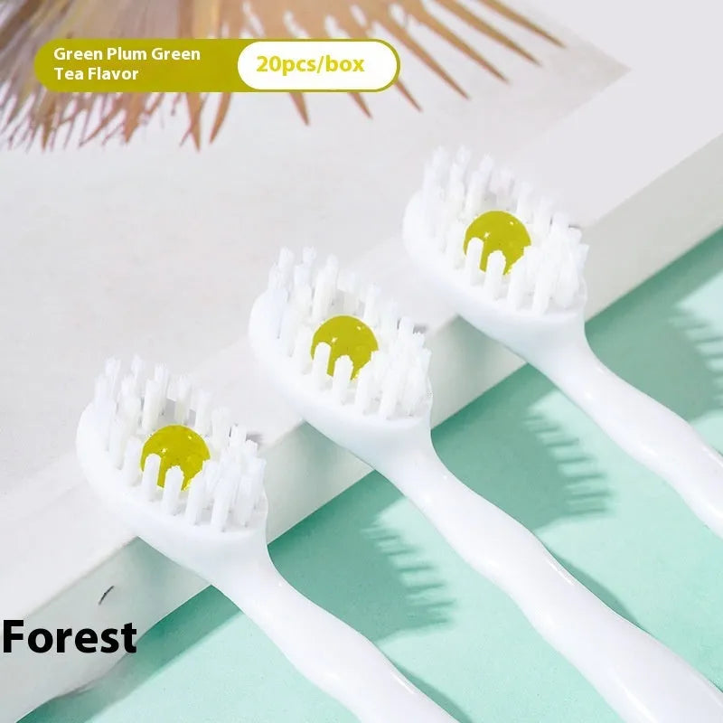 Box of 20 disposable bead toothbrushes with integrated toothpaste for travel and emergency dental care