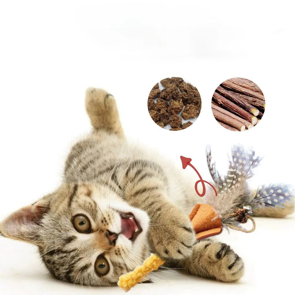 Two polygonum wood cat molar sticks with gall fruit, one green and one yellow, on a neutral background