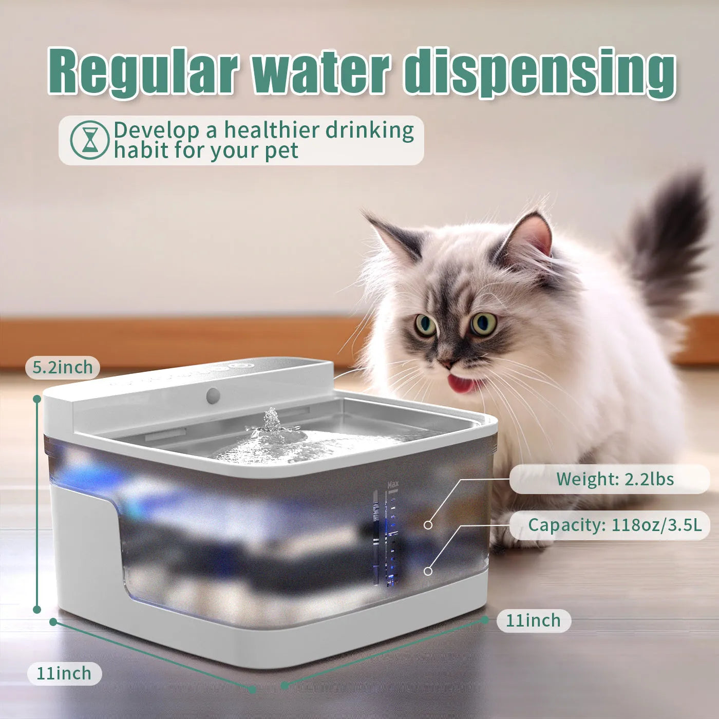 Automatic pet water dispenser with circulating pump and filter element for cats and dogs