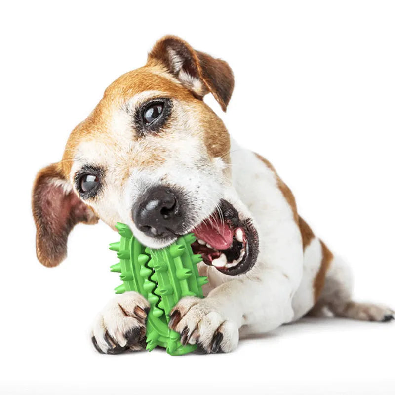 Green cactus-shaped dog chew toy for dental cleaning and aggressive chewers on a white background.
