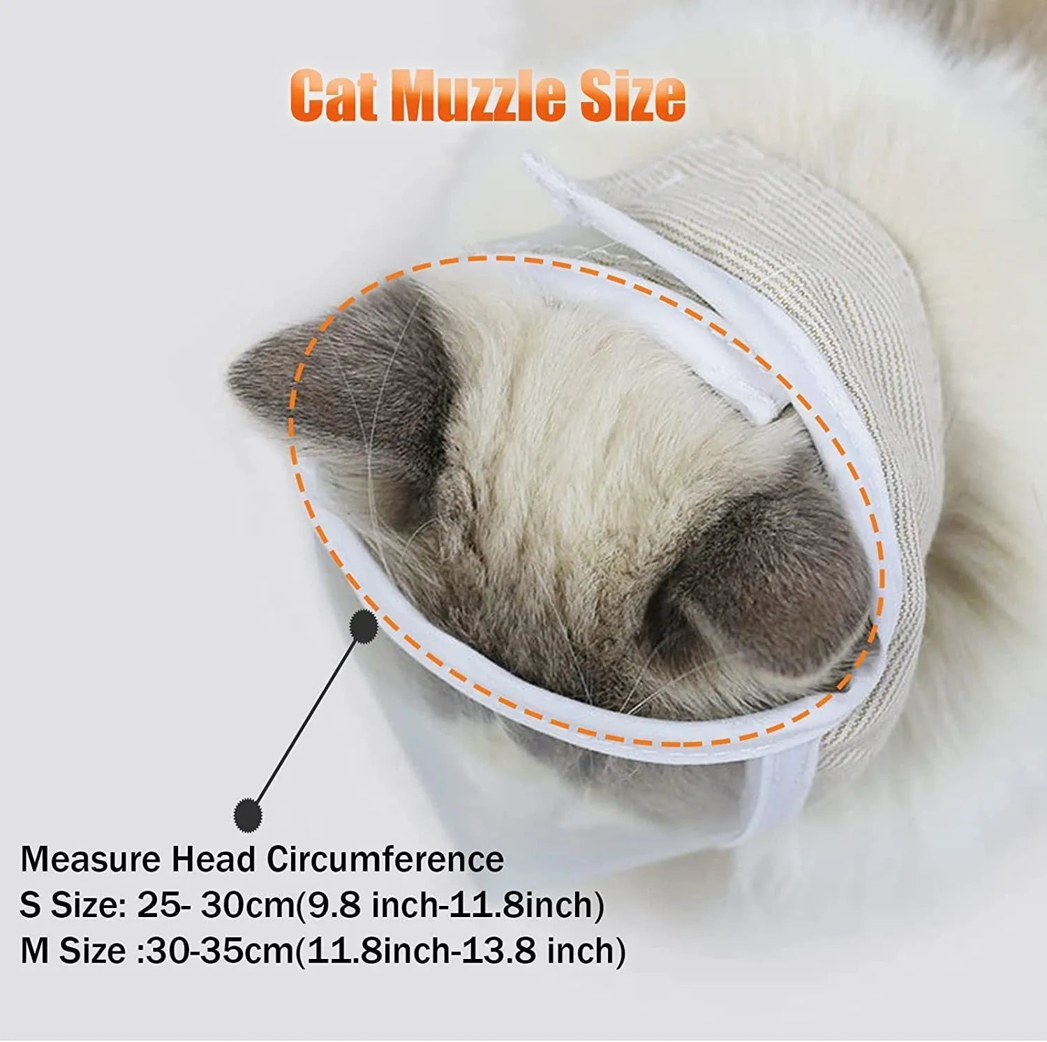 Clear PVC anti bite cat muzzle with cotton lining on cat