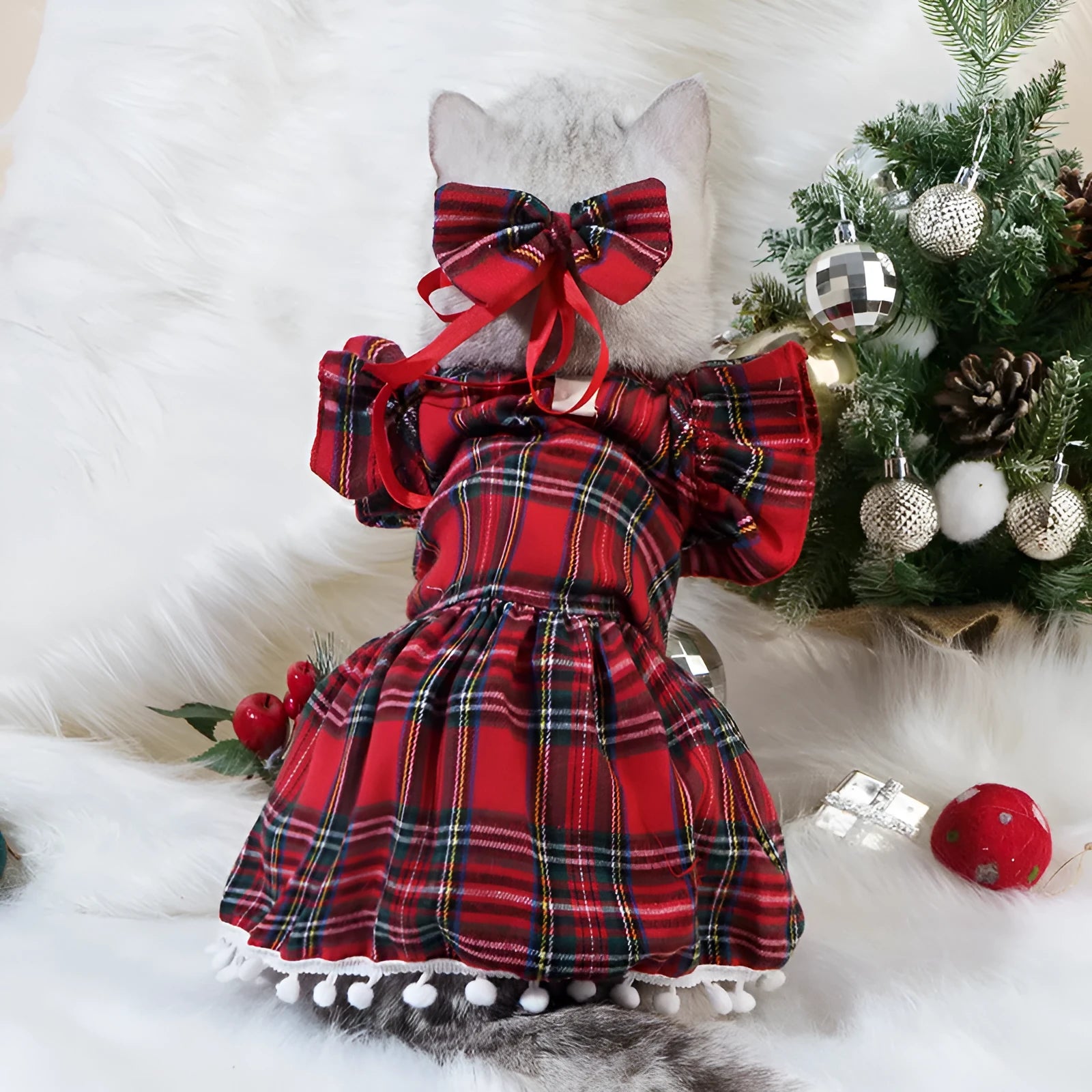 Red Christmas tartan pet skirt with matching bow tie and head flower on a cat, size M