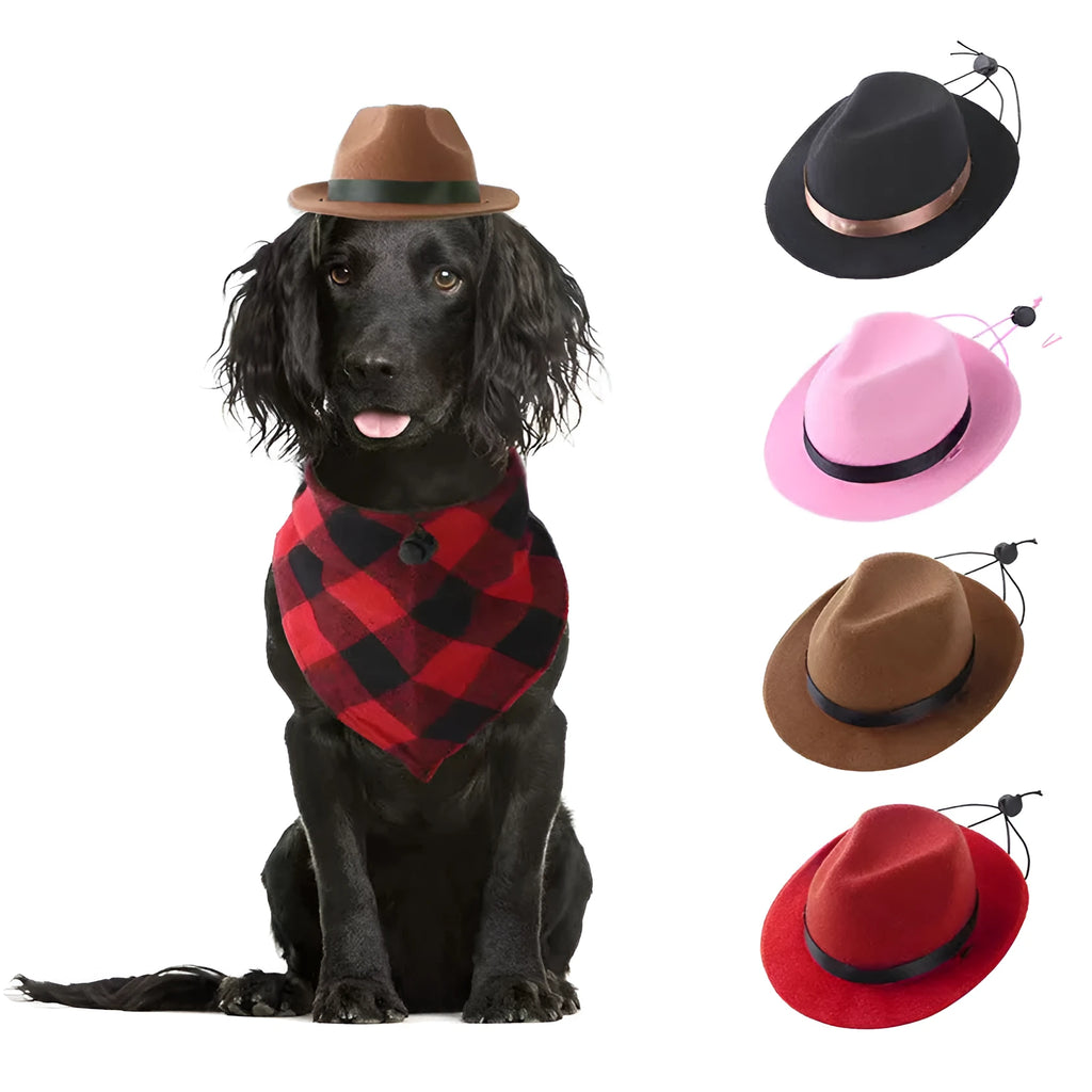 S size 155cm diameter wool felt mini pet hat in black, brown, pink or red for sun protection and holidays.