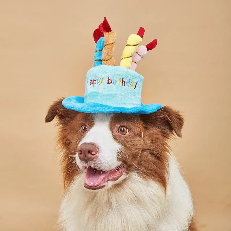 Blue and pink toy dog birthday hats showing 21cm width dimensions on plush animal