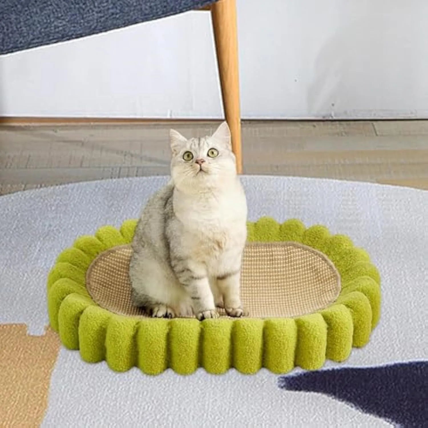 Green oval cat scratch pad bowl measuring 650mm serving as scratching board and cat bed
