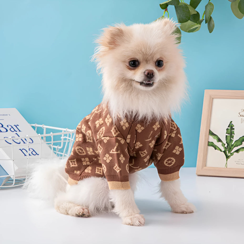 Wool knit dog sweater in winter colours showing thick knit construction and full-body coverage design