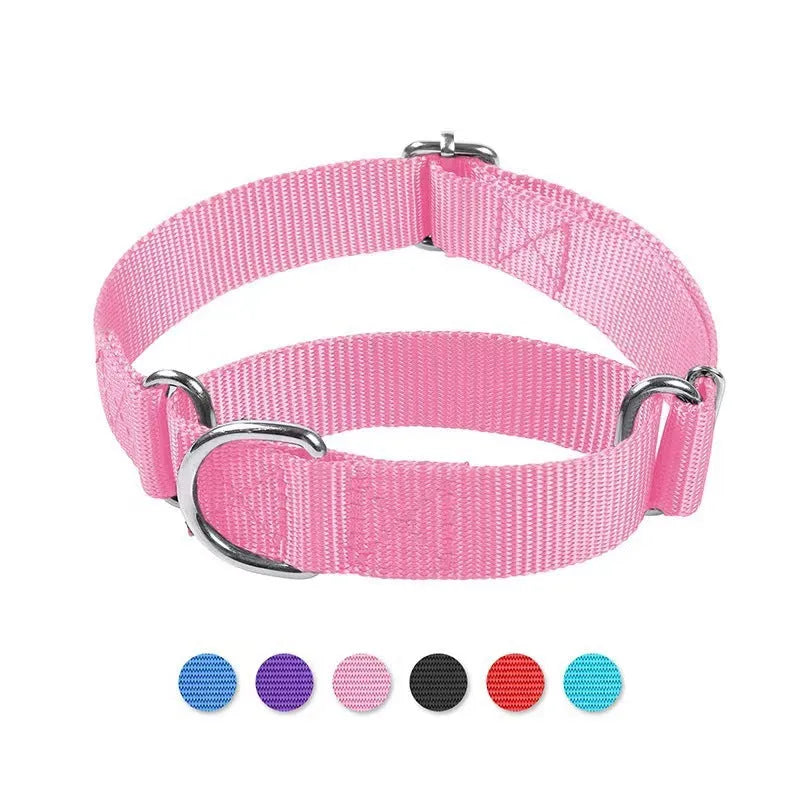 Adjustable nylon explosion-proof pet collar in blue with hand-holding rope for cats and dogs