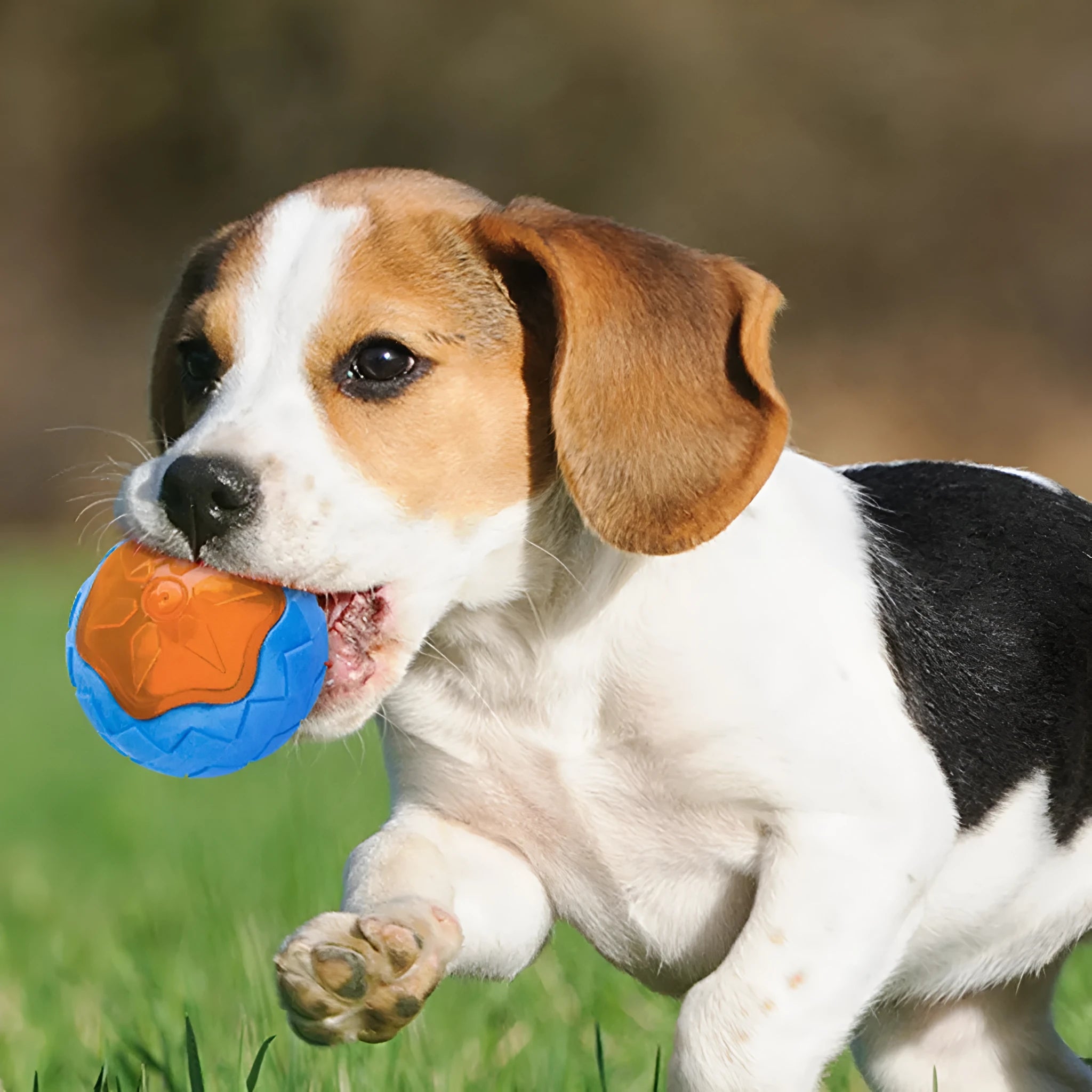 Blue dog toy ball with glow and squeak features, 9 cm TPR floating chew toy for dogs