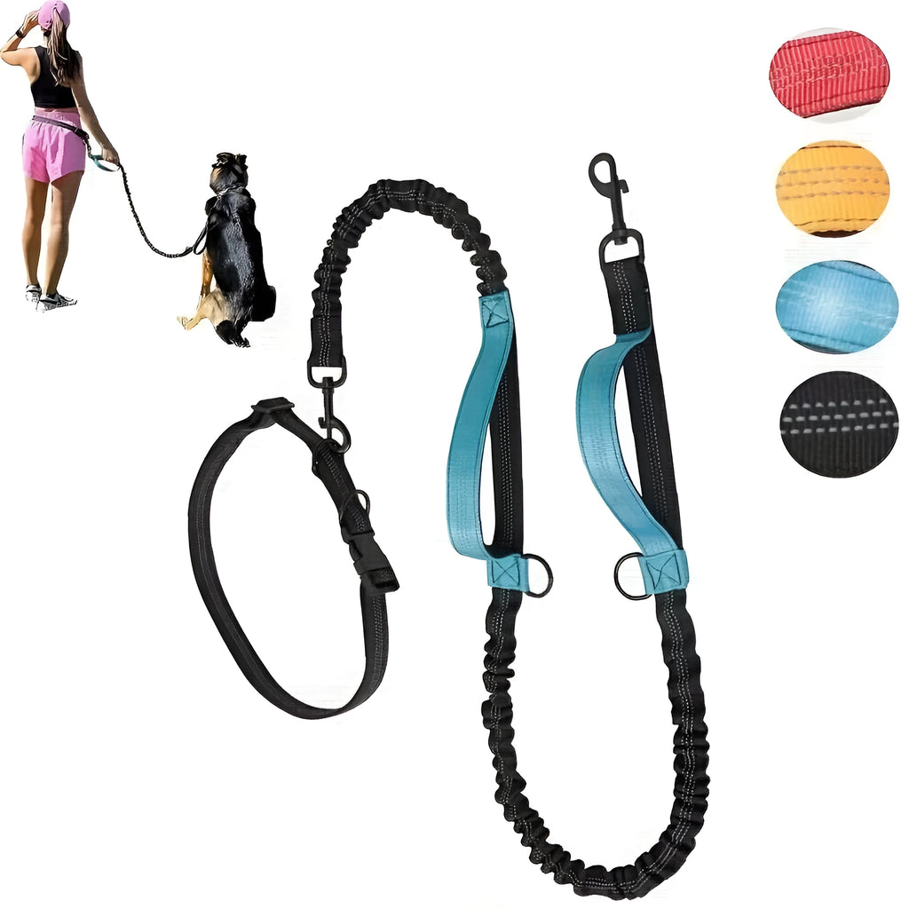 Hands-free dog leash made of durable nylon with adjustable waist belt, for running or walking with an active dog