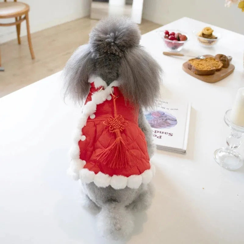 Red cotton pet coat with fur collar and Chinese knot detail for autumn and winter
