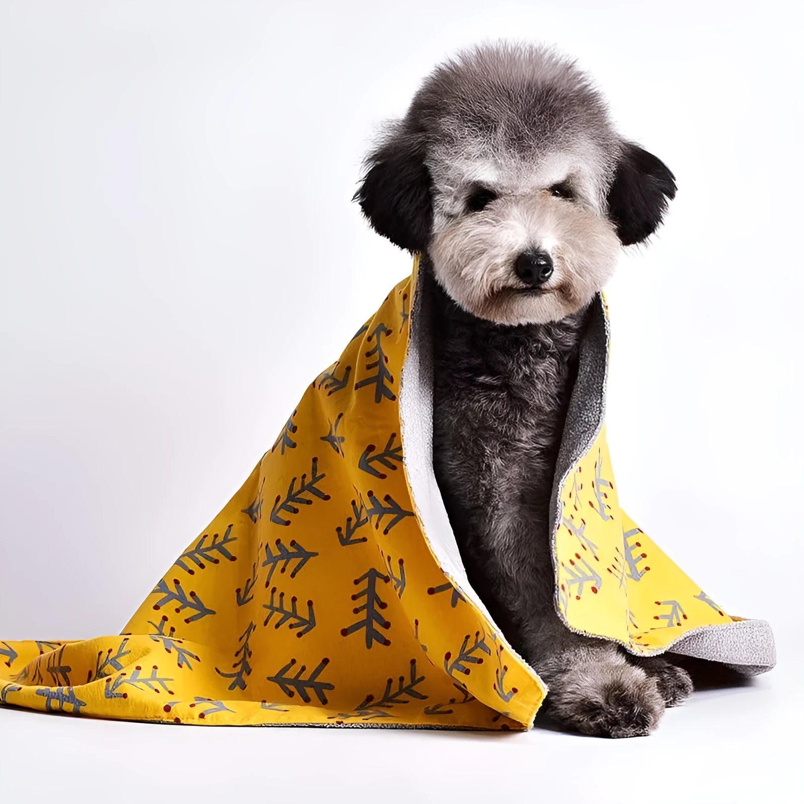 Pet double-sided cotton velvet kennel mat with dinosaur pattern in grey colour on a light background
