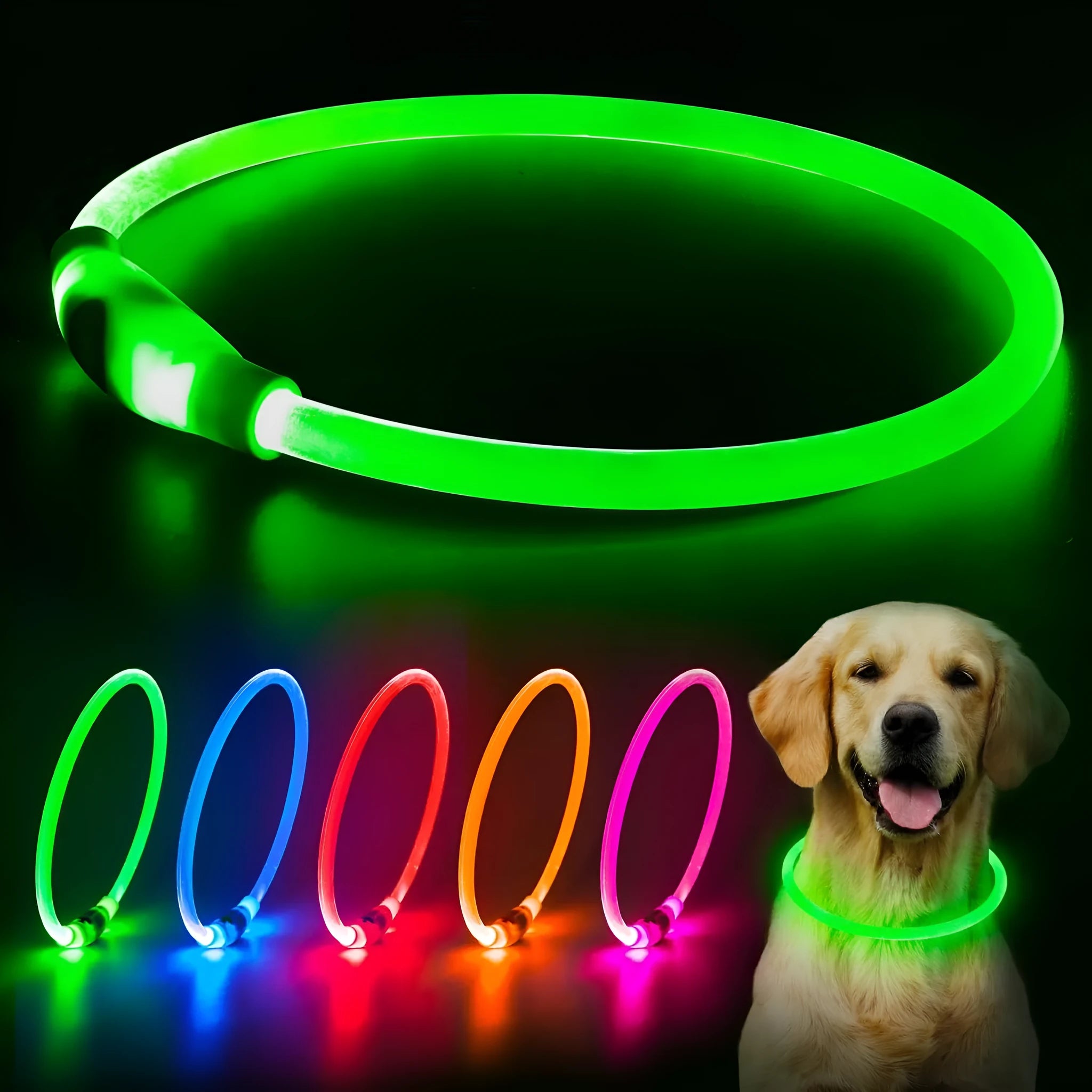 Blue USB rechargeable LED dog collar glowing with 360-degree visibility for nighttime pet safety
