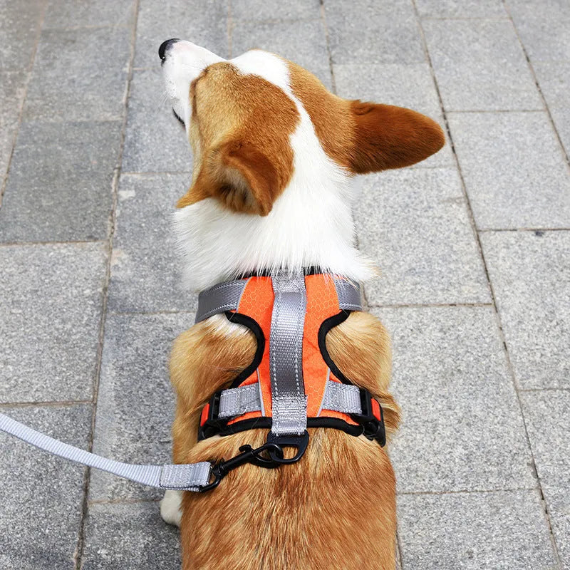 Adjustable polyester dog harness with chest strap and optional hand holding rope in multiple colour options
