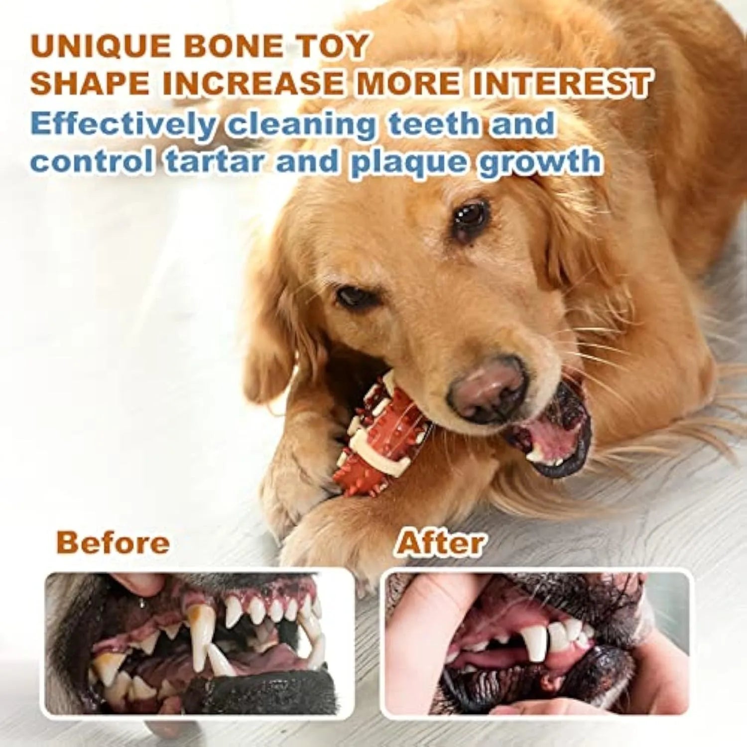 Natural rubber bone-shaped dog molar toy for teeth cleaning in two sizes