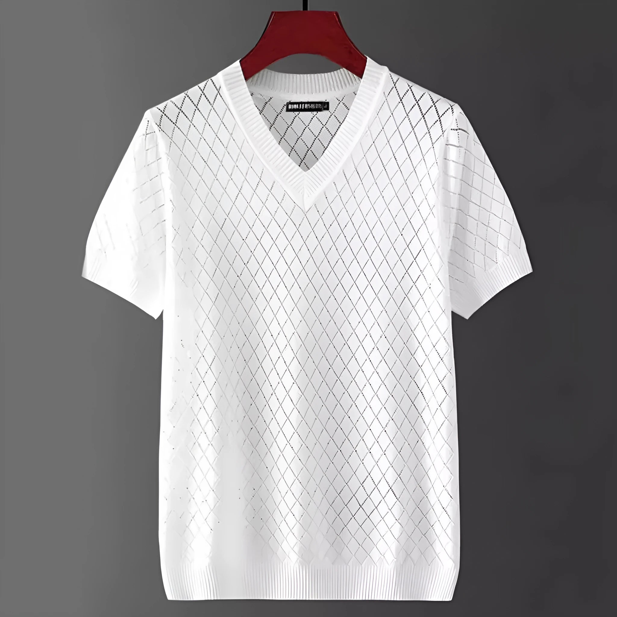 Men's Ice Silk V-neck T-shirt Korean style black and white options