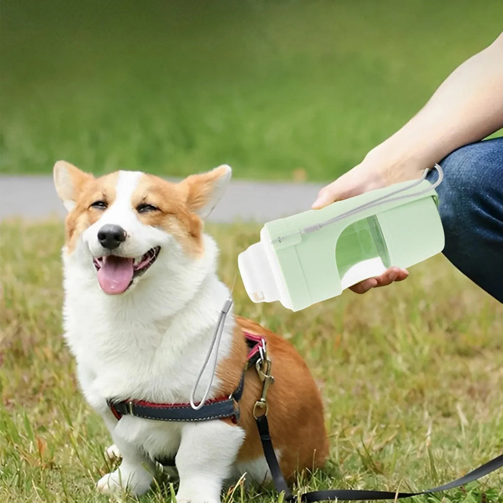 2-in-1 travel dog water bottle with 690ml capacity and lanyard, leakproof design for outdoor pet feeding