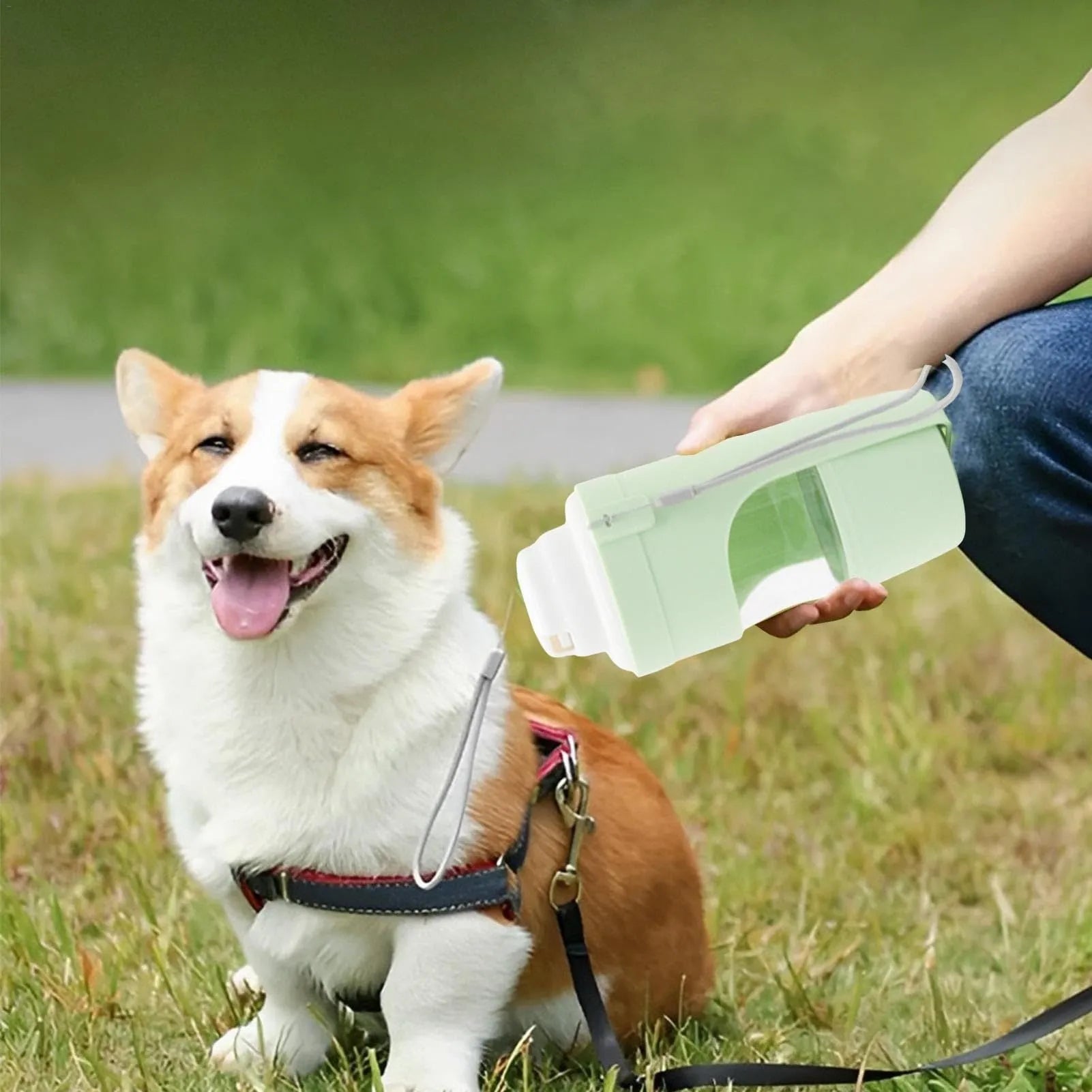 2-in-1 travel dog water bottle with 690ml capacity and lanyard, leakproof design for outdoor pet feeding