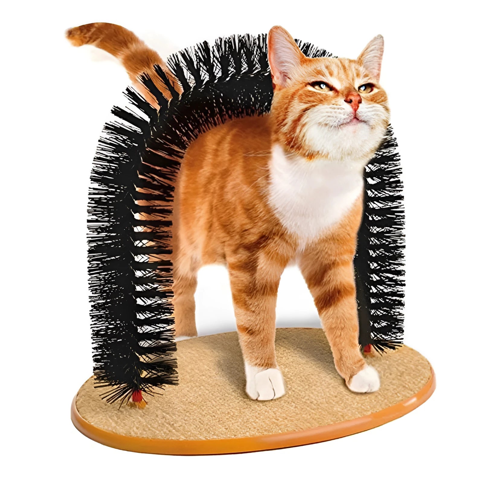 Arched cat grooming station and scratcher toy with built-in bristle brush for cats to scratch and rub against.