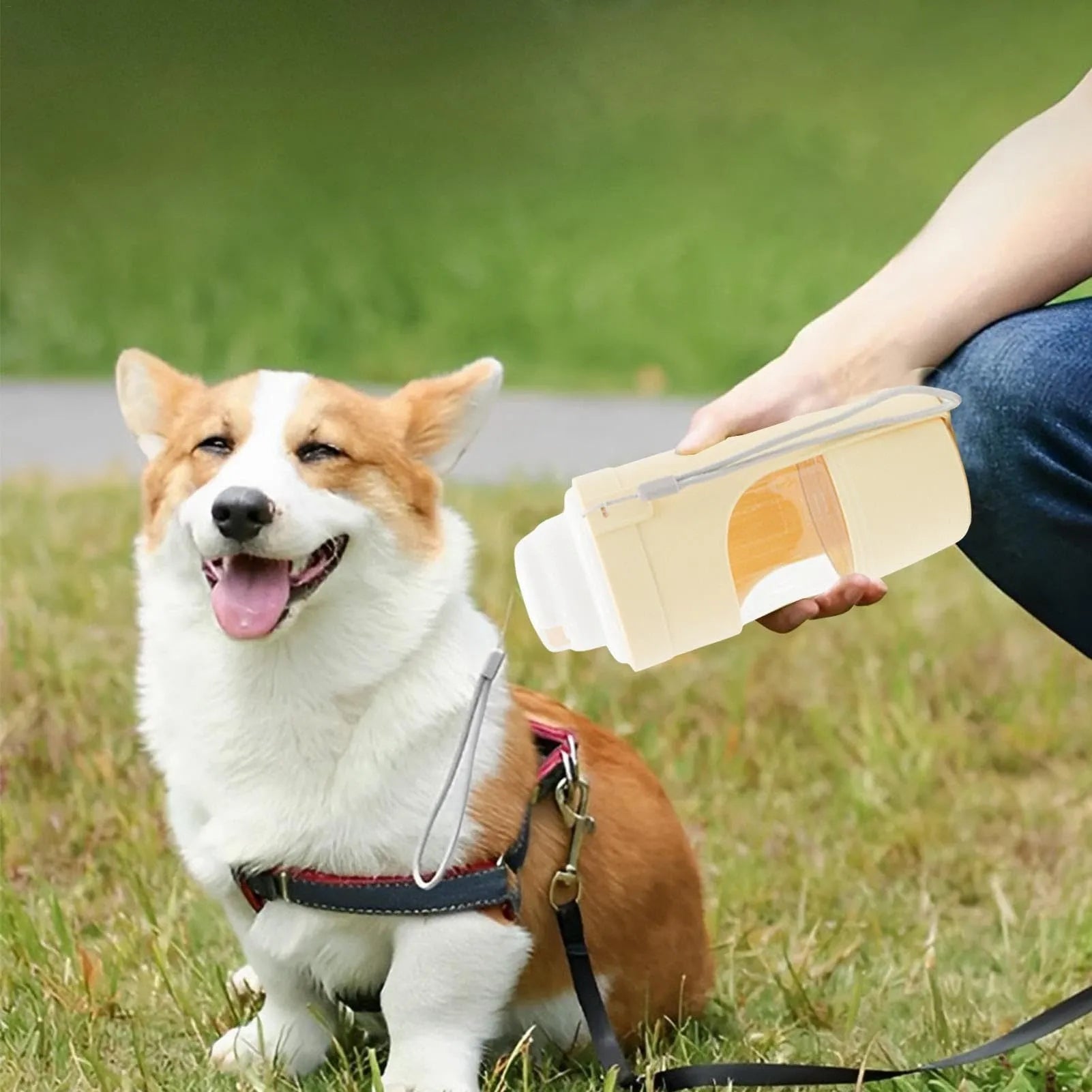 2-in-1 travel dog water bottle with 690ml capacity and lanyard, leakproof design for outdoor pet feeding