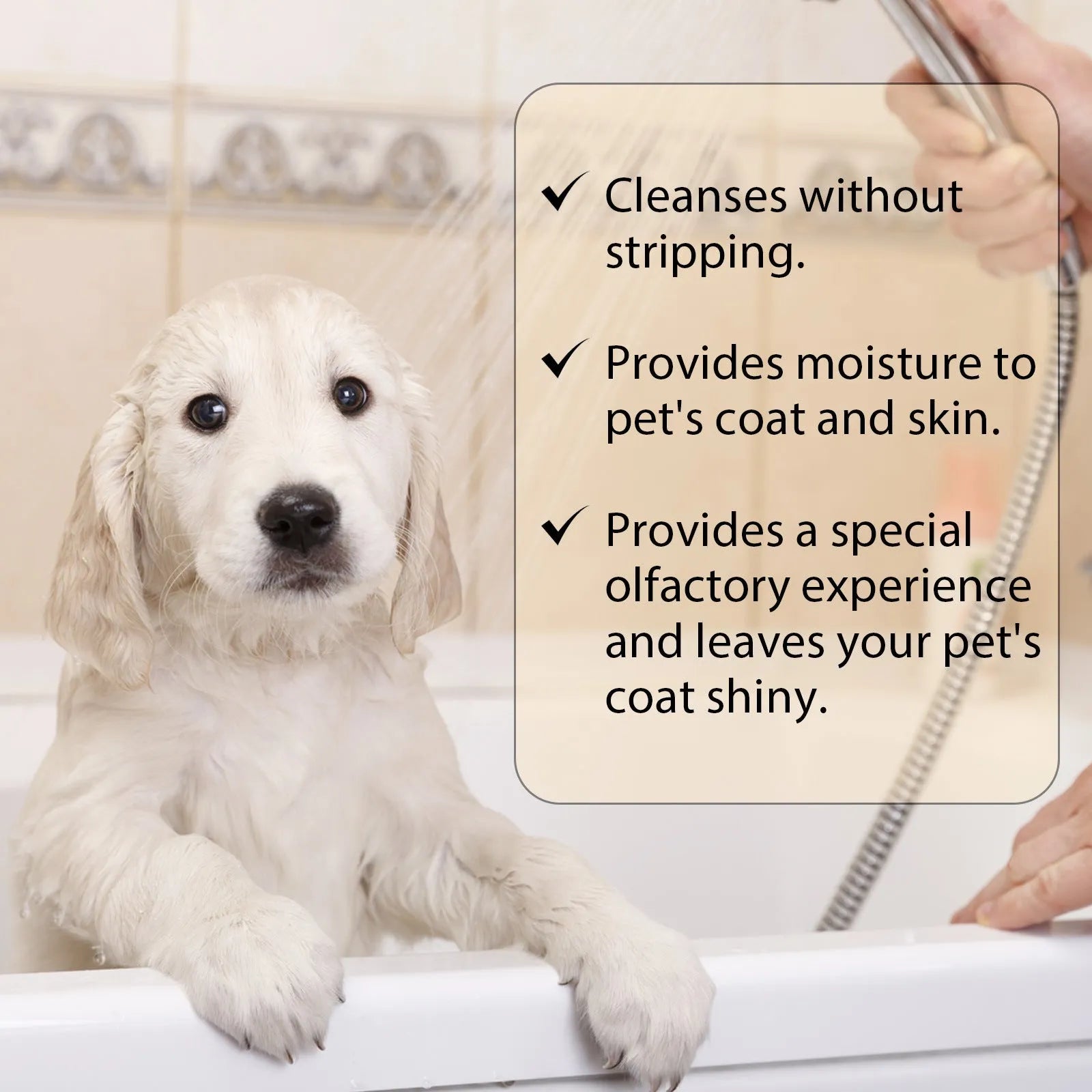 Bottle of mild pet shampoo for dogs and cats, showing 100ml and 300ml size options.