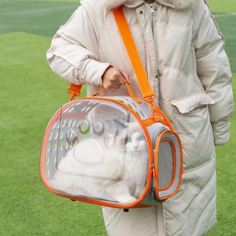 Transparent hard-shell cat backpack carrier in large size, shown in lake blue colour