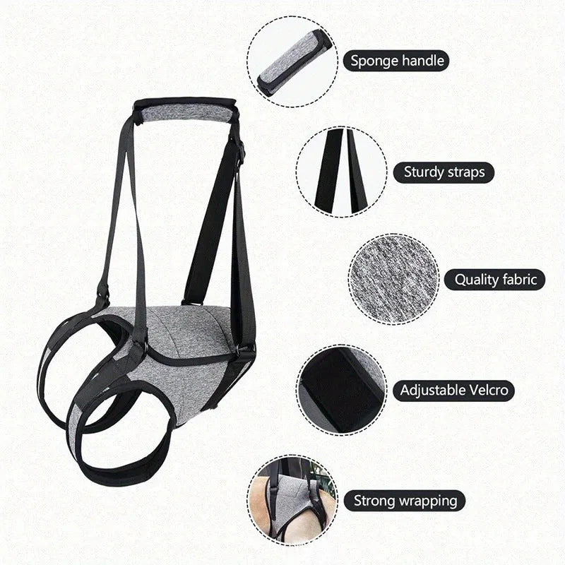 Grey adjustable neoprene dog rear leg recovery belt for hind leg support and mobility assistance