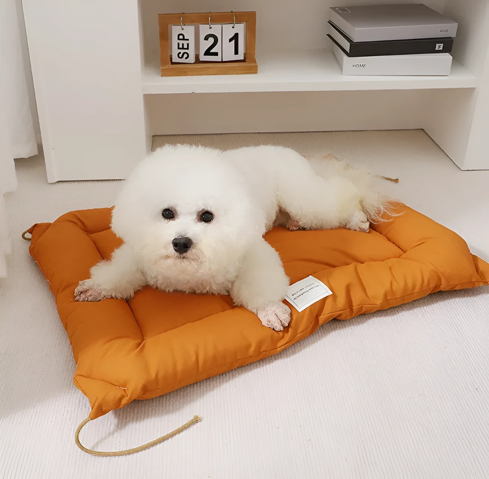 Tied cage cushion for dogs and cats in beige, showing platform attached to wire crate bars – size L.