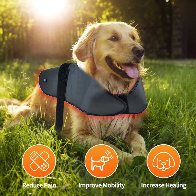 New L size pet red light infrared physiotherapy instrument for dogs and cats, black, wireless portable device with timer