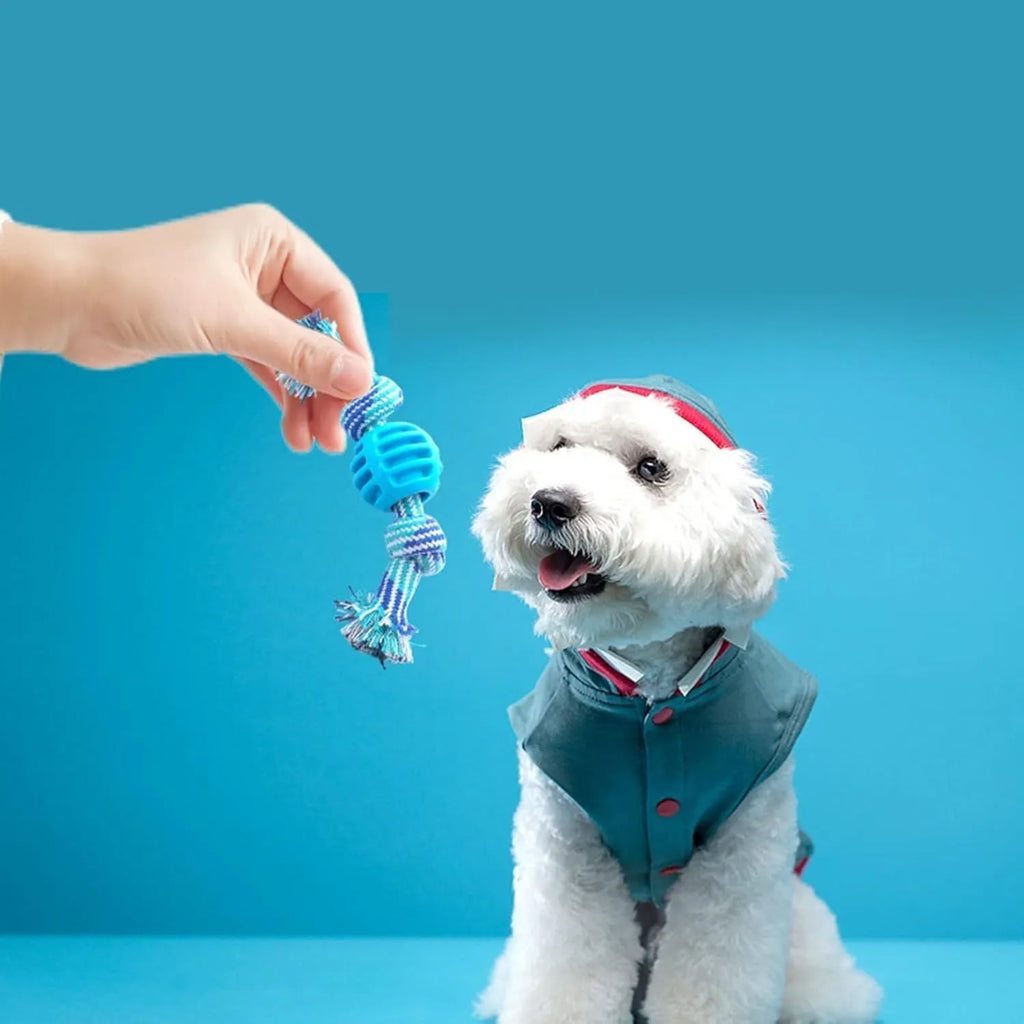 Blue dog chew toy with rope construction for dental cleaning and moderate chewing