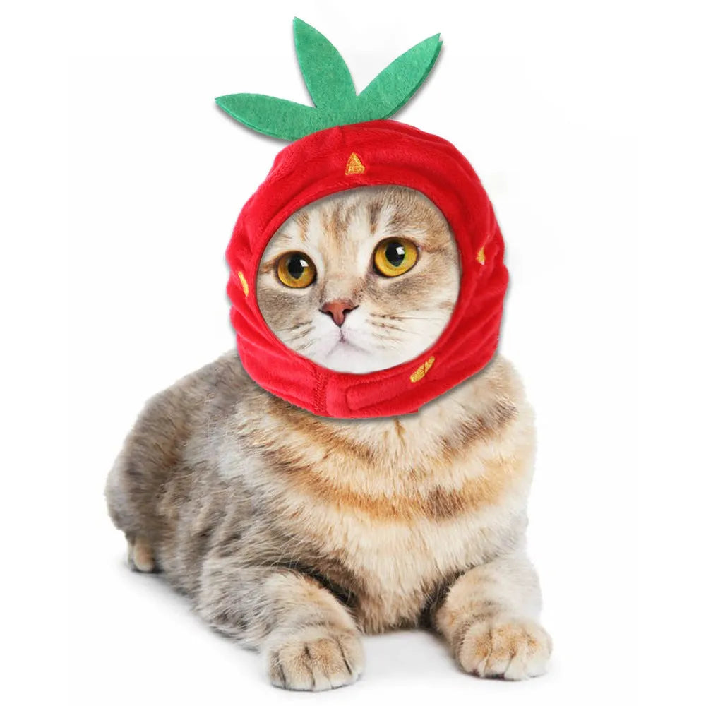 Cute pet headgear sunflower cat headdress wig hat with embroidery cloth free size
