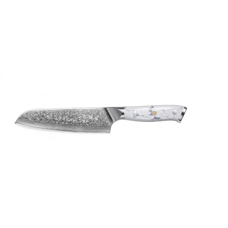 Damascus pattern VG10 stainless steel chef knife with 21cm blade for kitchen use