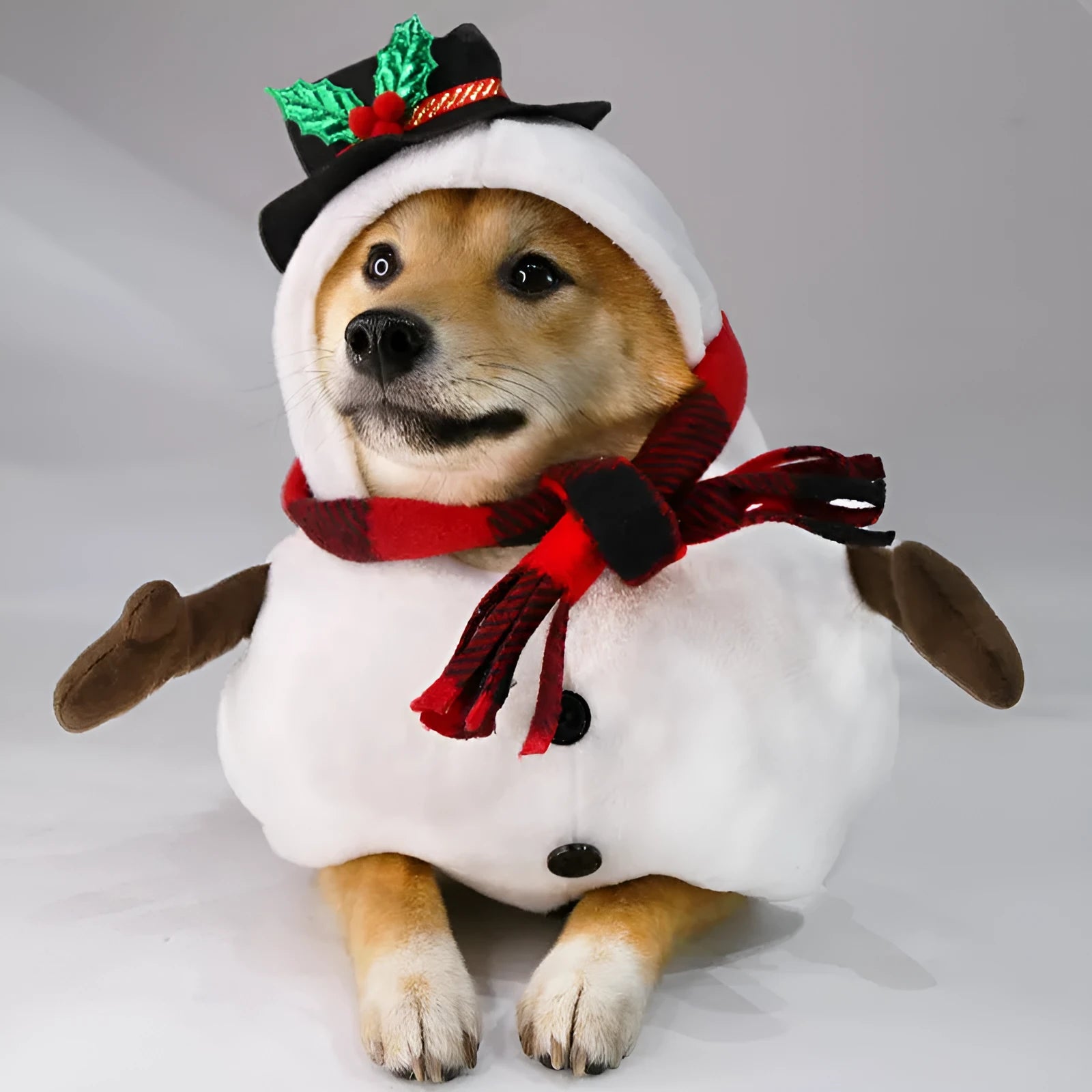 Christmas snowman design dog costume made of polyester on a light background, available in sizes S M L XL