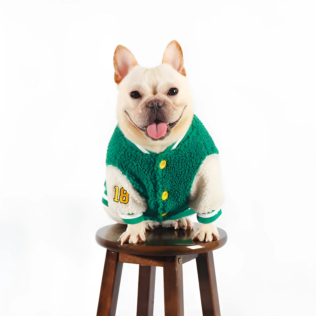 Fleece-lined cotton dog winter coat in green, suitable for sizes L to 4XL