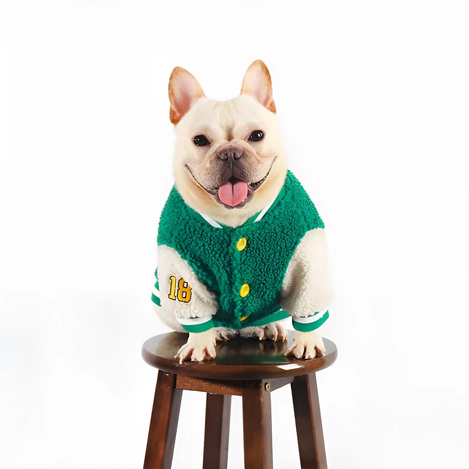 Fleece-lined cotton dog winter coat in green, suitable for sizes L to 4XL