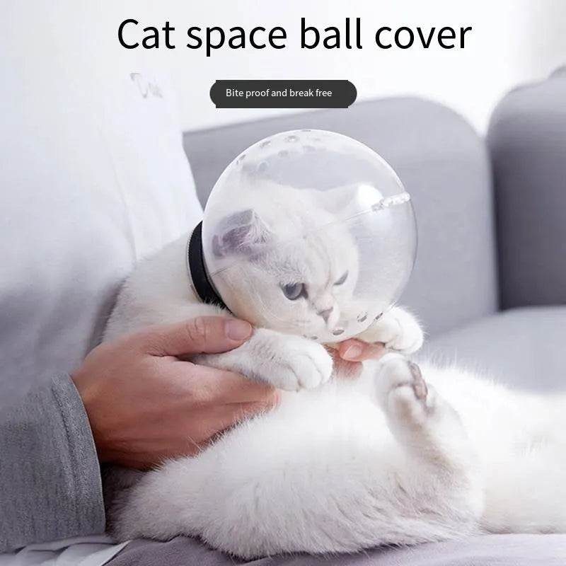 Transparent PP plastic cat muzzle anti-bite space hood with adjustable Velcro, size M L XL for grooming and post-surgery care