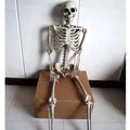 Full-height 170cm plastic skeleton prop with realistic bone structure