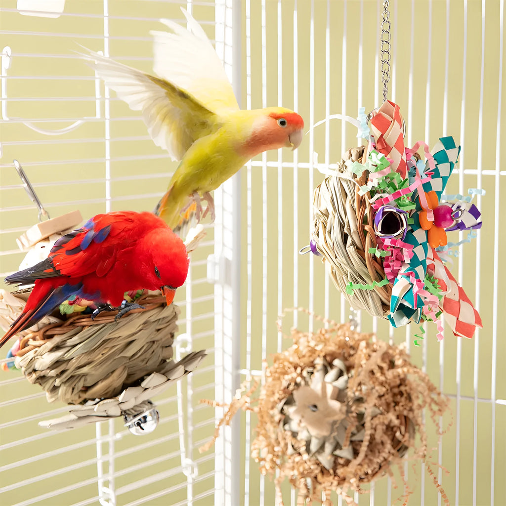 Parrot gnawing molar toy set with three chew types for small to medium birds