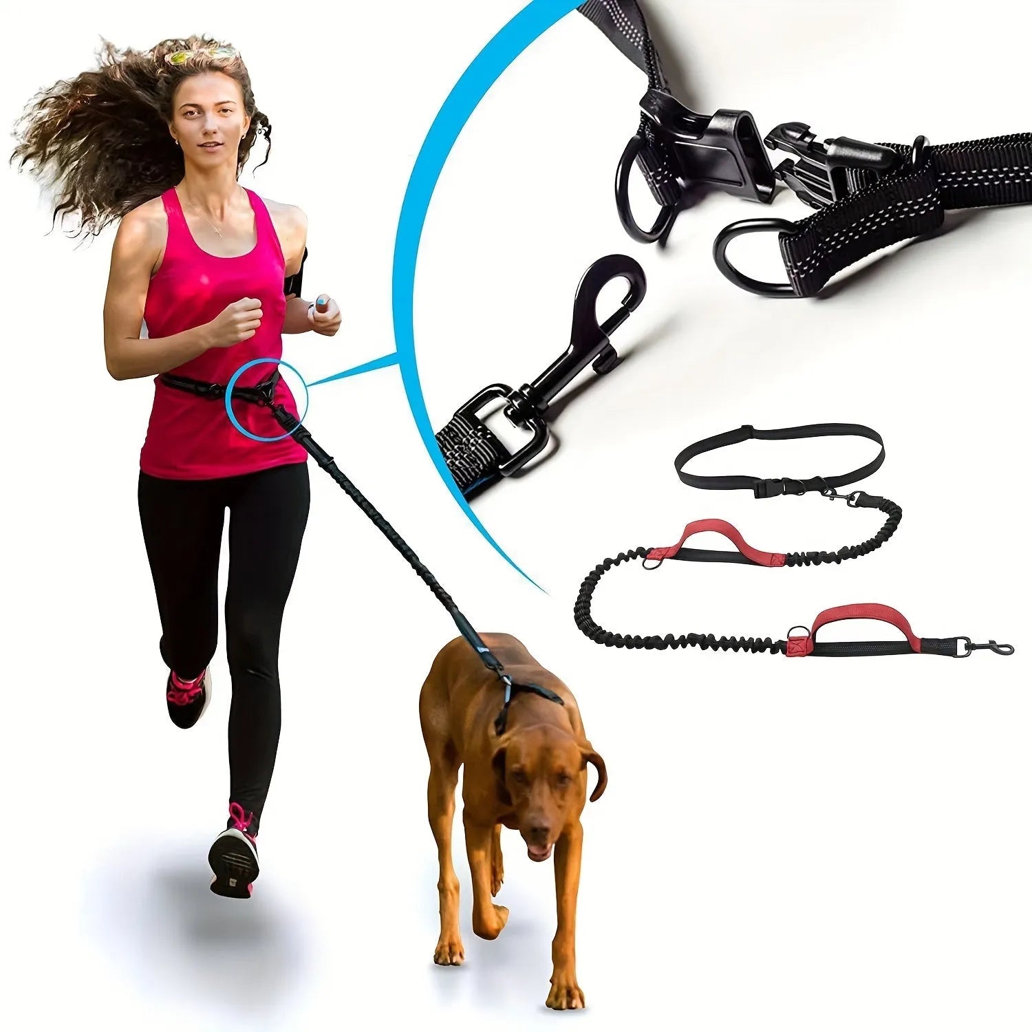 Hands-free dog leash made of durable nylon with adjustable waist belt, for running or walking with an active dog