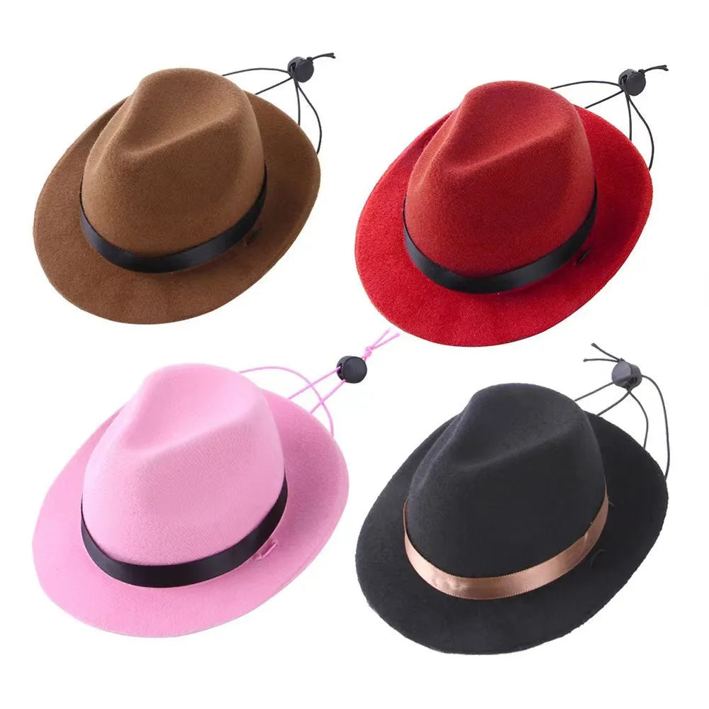 S size 155cm diameter wool felt mini pet hat in black, brown, pink or red for sun protection and holidays.