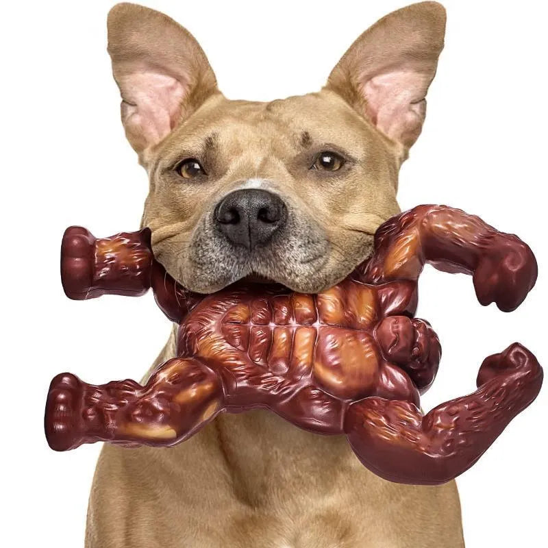 Scarlet nylon dog chew toy with beef flavour for molar cleaning and anxiety relief