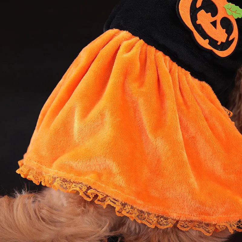 Halloween pumpkin skirt pet costume in crystal velvet for small dogs and cats