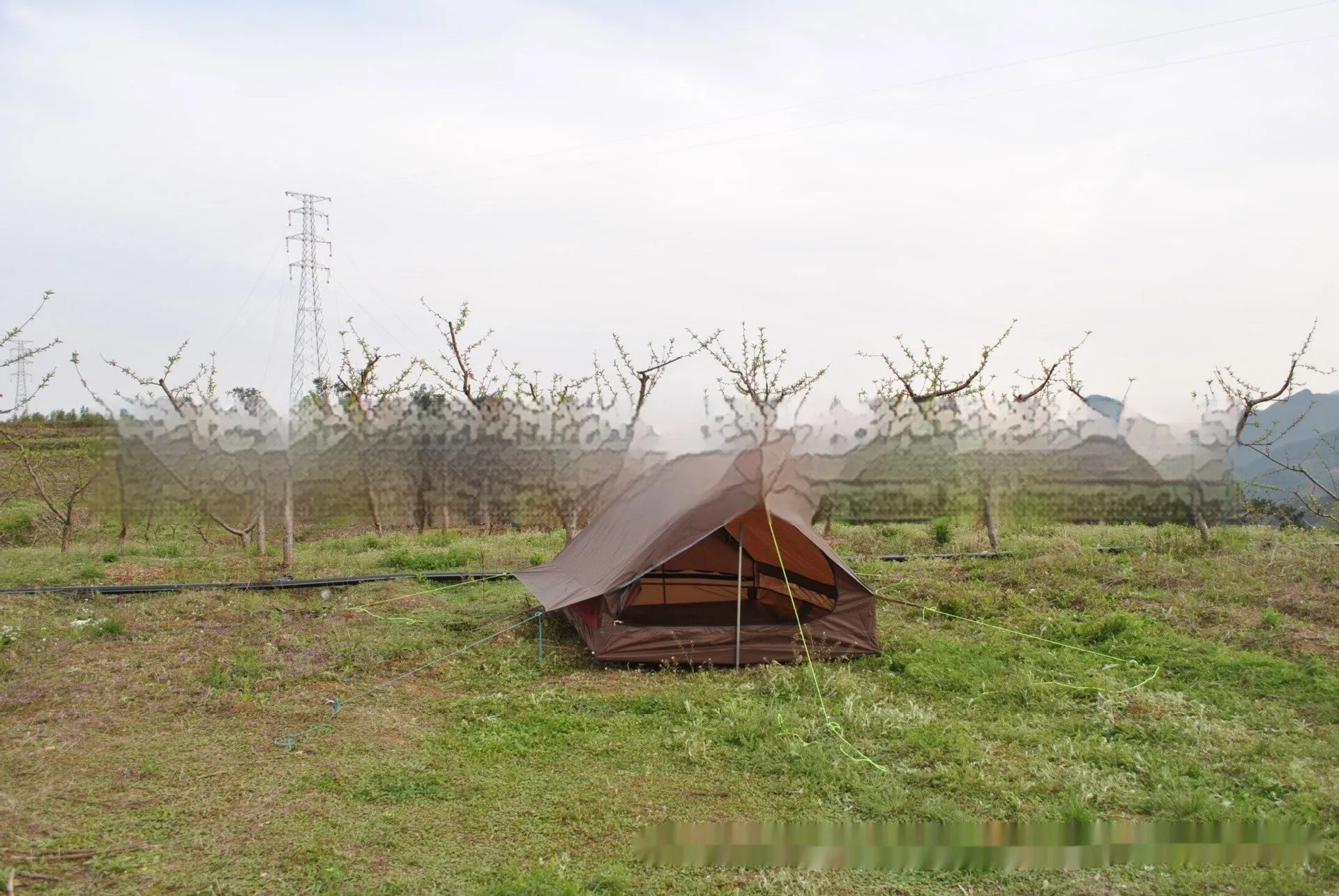 Brown A-line hiking tent set up with trekking poles in a forest clearing.