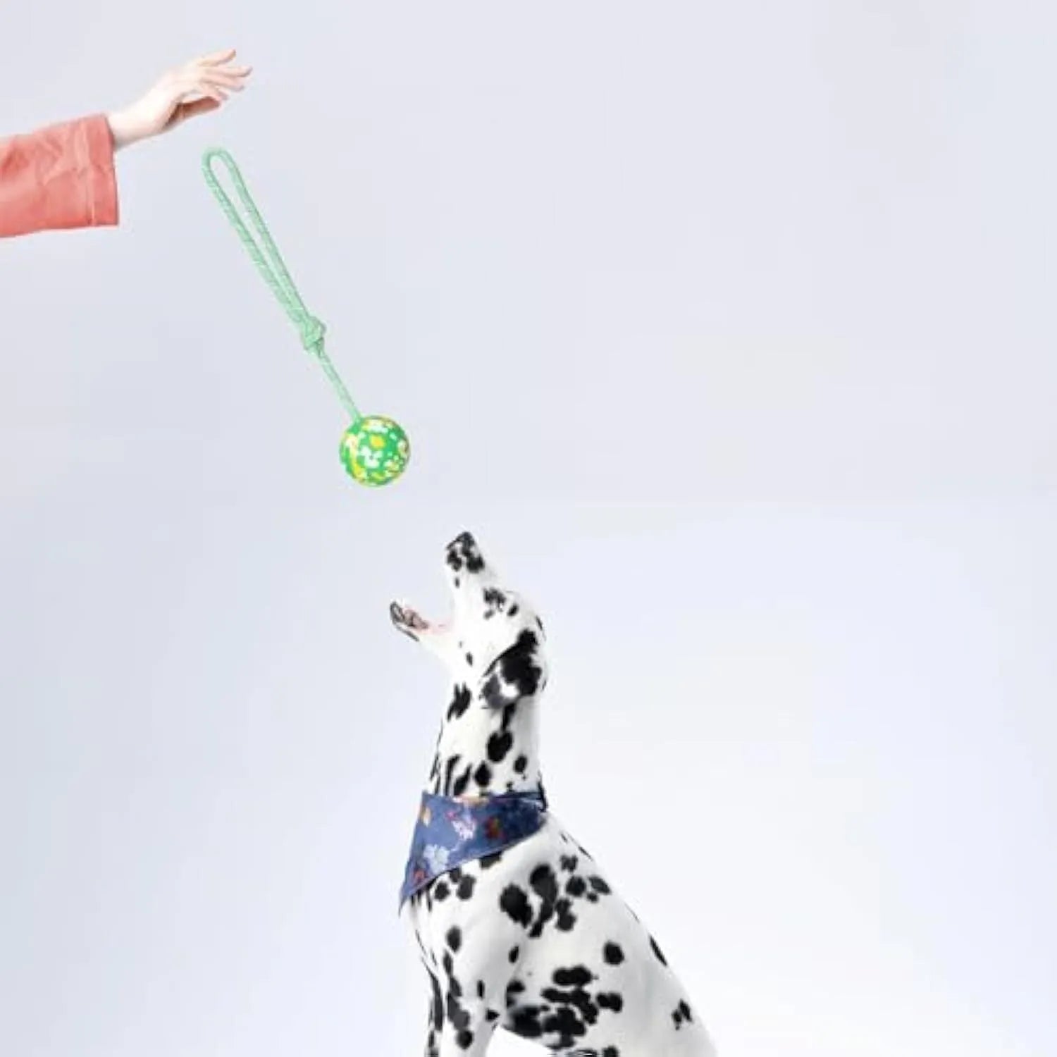 Natural rubber dog ball attached to nylon rope toy for medium and small dogs