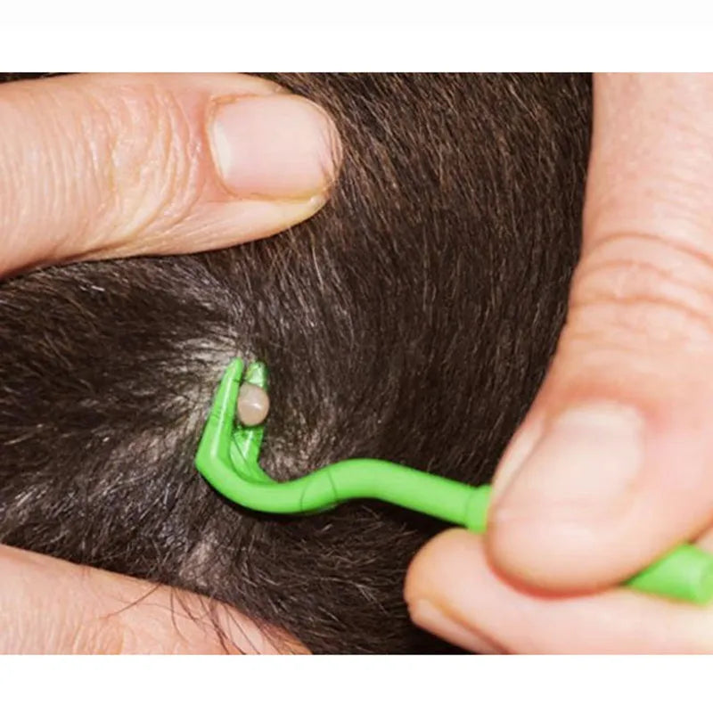 Blue and green plastic tick removal tools for pets with hook design