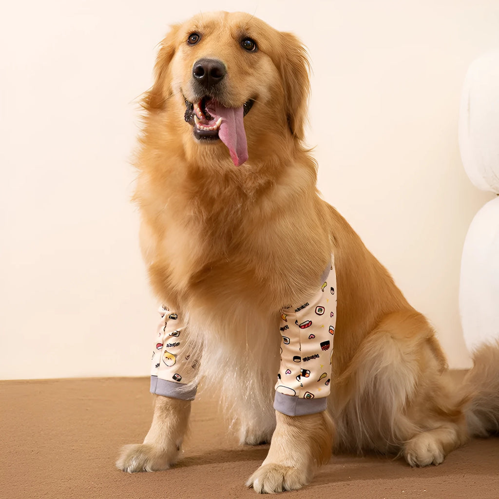 Blue dog knee protector wrap with thick elbow pad and matching scarf on a medium large dog