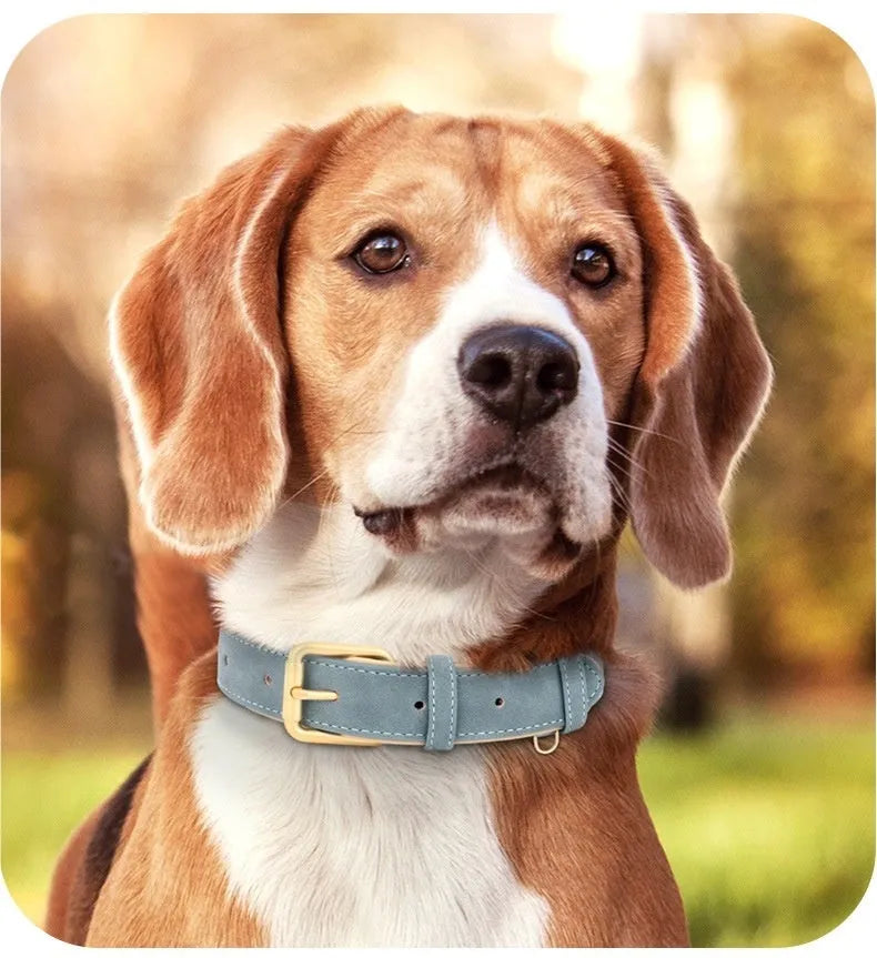 Double-layer mohair leather dog collar and matching lead in rose red, brown, or blue.