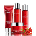 Pomegranate moisturising skincare set red packaging face wash toner lotion facial cream