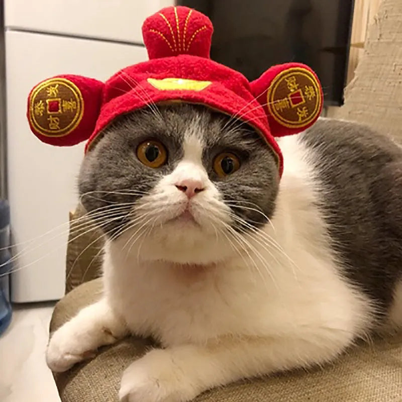 Cute pet headgear sunflower cat headdress wig hat with embroidery cloth free size